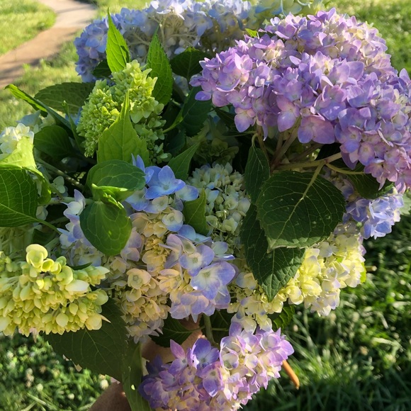 Meet your Posher, Barbara - Picture 3 of 3